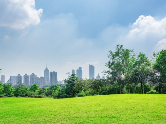 Johor Land for Sale: A Growing Investment Opportunity
